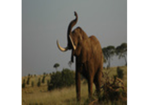 Book Exciting Day Trips from Arusha Tanzania