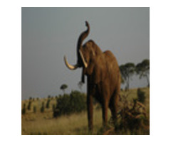 Book Exciting Day Trips from Arusha Tanzania