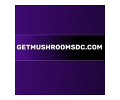 Where To Buy Psychedelic Mushrooms In MD