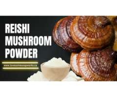 Premium Reishi Mushroom Powder