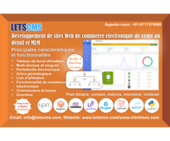 Services de développement de sites Web de commerce électronique MLM