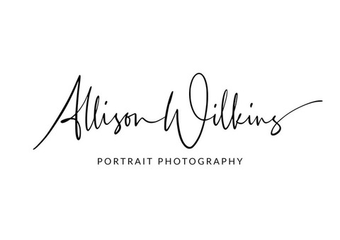 Allison Wilkins Photography