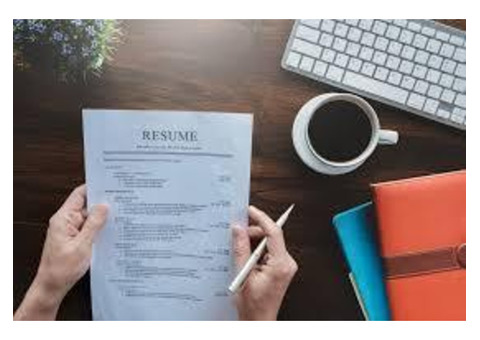 Best Professional resume writing services - Avon Resumes