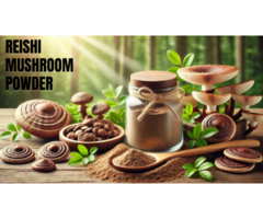 Natural Reishi Mushroom Powder to Boost Immunity