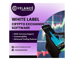 Empower Your Crypto Venture with Hivelance's White Label Solutions!