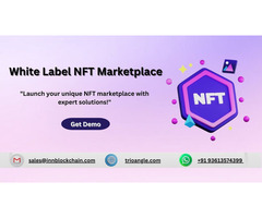 Start your NFT with our White Label NFT Marketplace