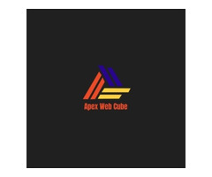 Apex Web Cube