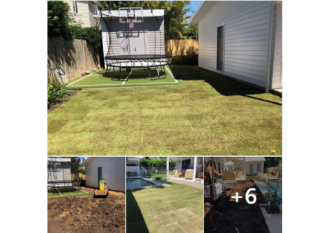 Augusta Zoysia turf - Back yard