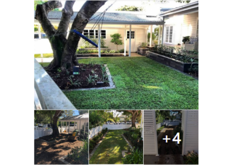 Sir Walter turf - Front yard