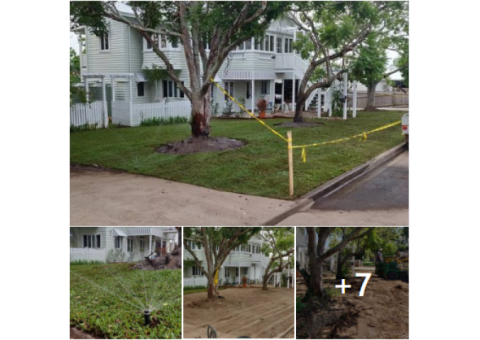 Massive 550m2 irrigation and returf. (Front yard)