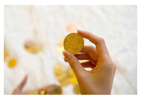 Ready to explore more BTC software solutions?