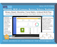 Affordable MLM e-Commerce Business Websites Worldwide