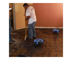 Get the Best water damage in Toronto