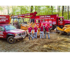 Trusted Tree Company in NJ – Amazing Tree Services