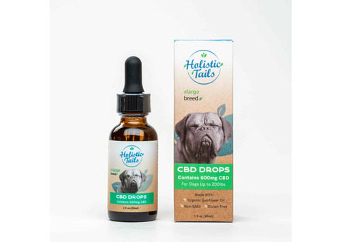 CBD Drops for Dogs Anxiety