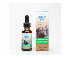 CBD Drops for Dogs Anxiety