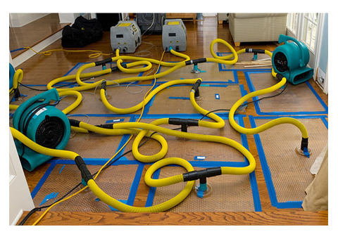 Residential Water Damage Restoration in New Jersey | P&M Mold Pro