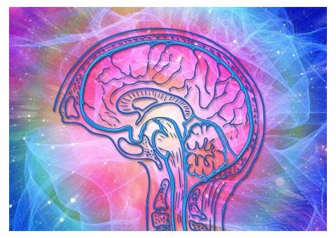 How Bright Minds Embrace Investors With II Gen Psychedelics?