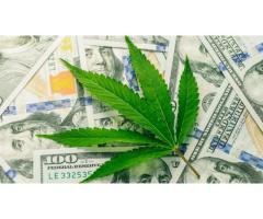 Why Pick CannaBIZ Collects as your Cannabis Debt Settlement Company?