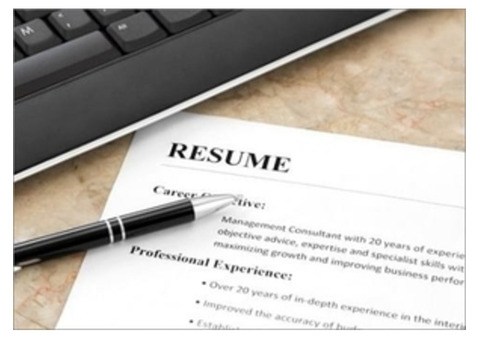 Top Resume Writing Services for a Successful Job Application