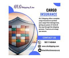 Get cargo insurance to protect your cargo by OLC Shipping Line