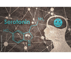 The Role of Serotonin in Mood Regulation