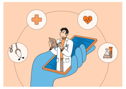 Healthcare Solution Development Services