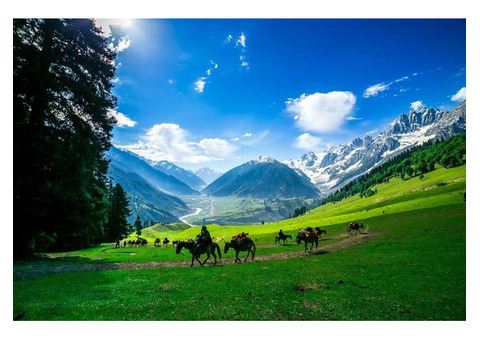 Happy Vacay to Kashmir