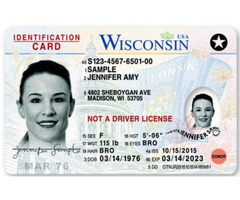 Buy Real and Fake ID Cards: High-Quality Choices