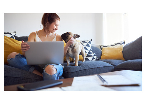 Discover How To Start An Online Business With A Proven Blueprint!