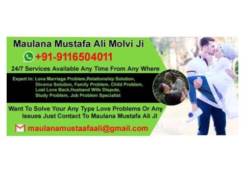 World Famous Love Specialist Maulana Mustafa Ali