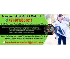 World Famous Love Specialist Maulana Mustafa Ali