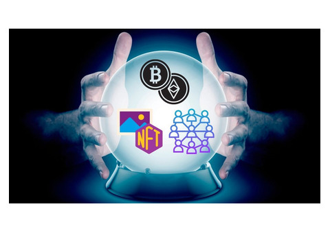 Hivelance Polymarket Clone Multi-Blockchain Support and Seamless