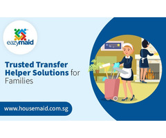 Trusted Transfer Helper Solutions for Families in Singapore