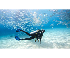 Scuba Diving in Nemo Beach