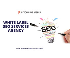 Best White Label SEO Services Company in India