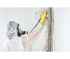 San Diego Mold Remediation