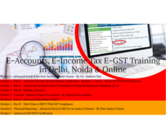 Accounting Course in Delhi SLA 110081,