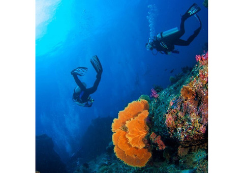 Snorkeling in Andaman Islands