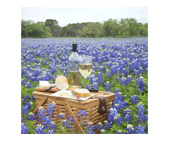 Fredericksburg Texas Wineries