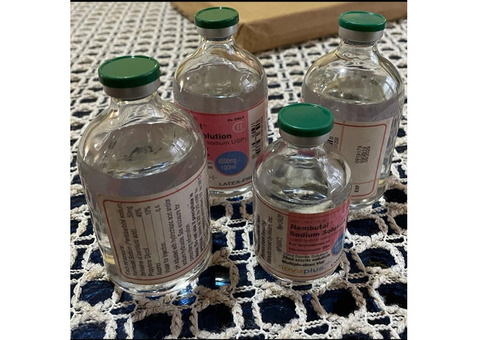 BUY NEMBUTAL ONLINE ,BUY PENTOBARBITAL SODIUM, BUY
