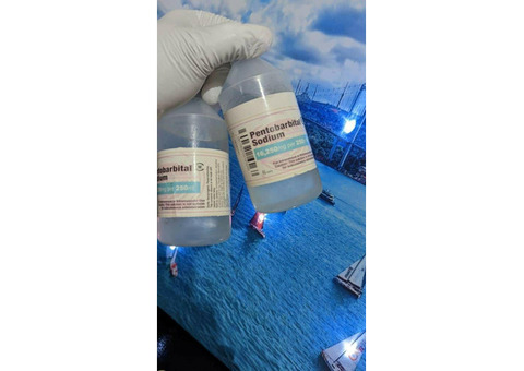BUY NEMBUTAL ONLINE ,BUY PENTOBARBITAL SODIUM, BUY