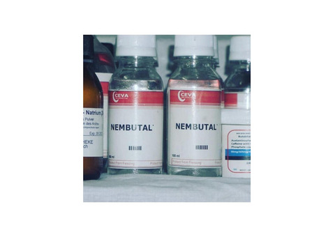 BUY NEMBUTAL ONLINE ,BUY PENTOBARBITAL SODIUM, BUY
