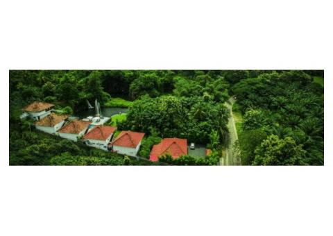 Best Resort In Athirappilly