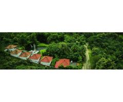 Best Resort In Athirappilly