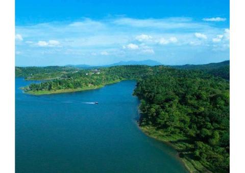 Hotels in Wayanad