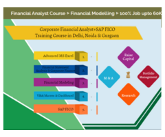 Financial Modeling Certification Course in Delhi, SLA 110004.