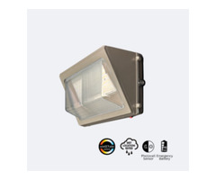 Exterior Light Fixture with Battery Backup