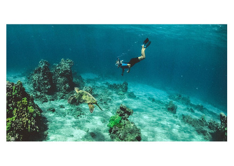Snorkelling In Havelock Island