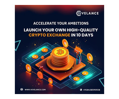 Develop Your Crypto Exchange Software at low Cost from hivelance